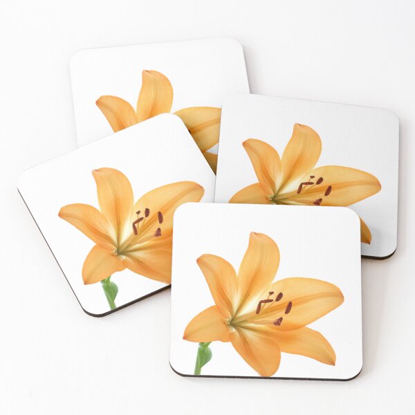 Item preview, lily designed and sold by IgorKovalenko.