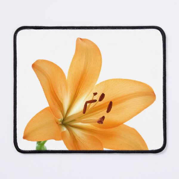 Item preview, lily designed and sold by IgorKovalenko.