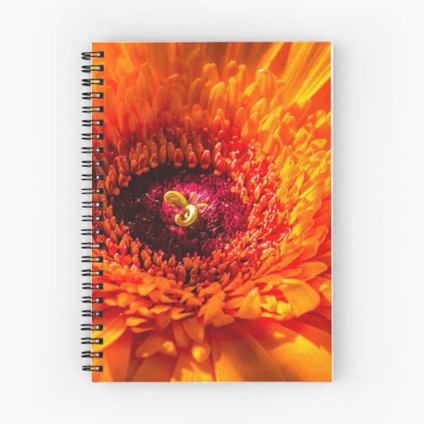 Item preview, Orange Gerbera designed and sold by Viv Thompson Photography .