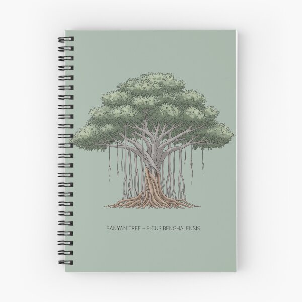 Item preview, Banyan Tree – Ficus benghalensis designed and sold by BloomKind.
