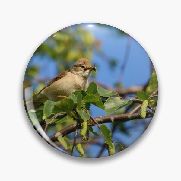 Item preview, Whitethroat with a mouthfull designed and sold by Jouko Lehto Photography.