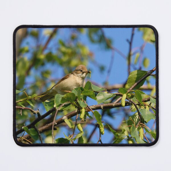 Item preview, Whitethroat with a mouthfull designed and sold by Jouko Lehto Photography.