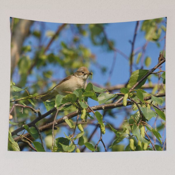 Item preview, Whitethroat with a mouthfull designed and sold by Jouko Lehto Photography.