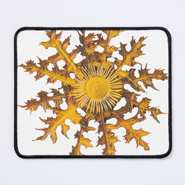 Item preview, Eguzkilore designed and sold by Javier Arizabalo Garcia.