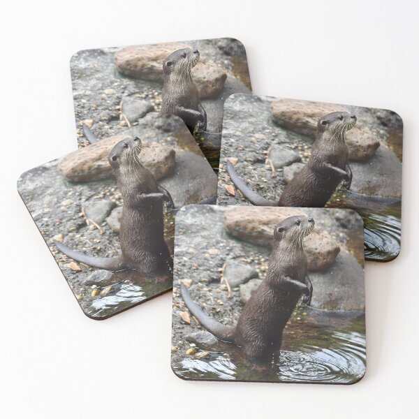Item preview, Little Otter Waits for Lunch designed and sold by richardbryce.