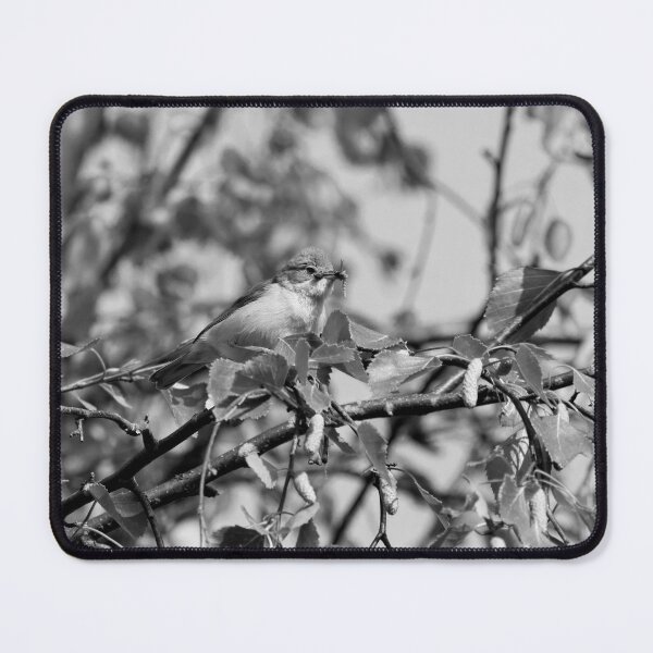 Item preview, Whitethroat with a mouthfull bw designed and sold by Jouko Lehto Photography.