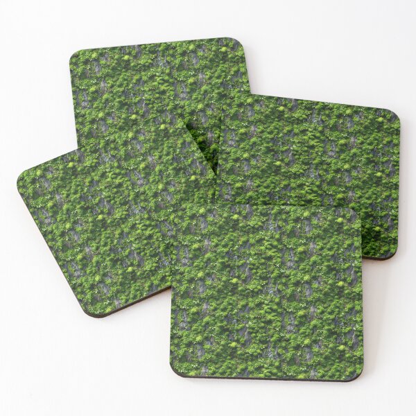Item preview, Lush Green Moss and Succulents on Rock designed and sold by NTGUILTY.