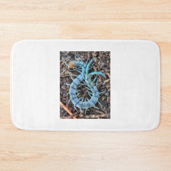 Item preview, Blue Tiger Centipede  designed and sold by Scott Collins.