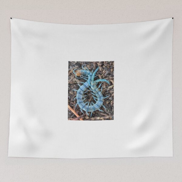 Item preview, Blue Tiger Centipede  designed and sold by Scott Collins.