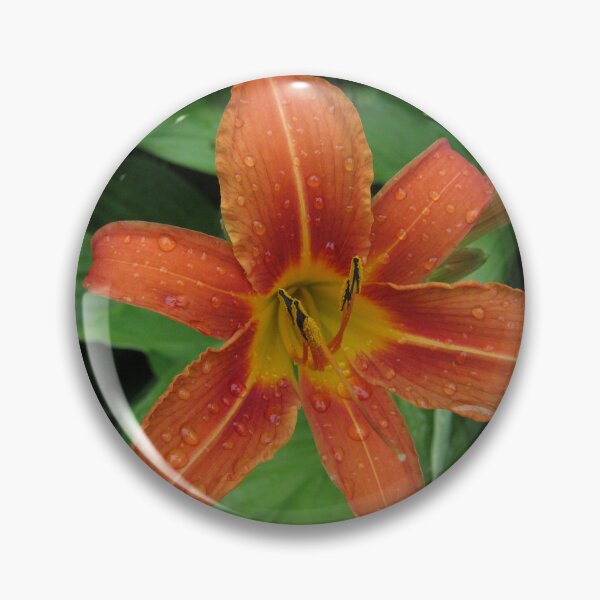 Item preview, Daylily designed and sold by cute-Maple-arts.