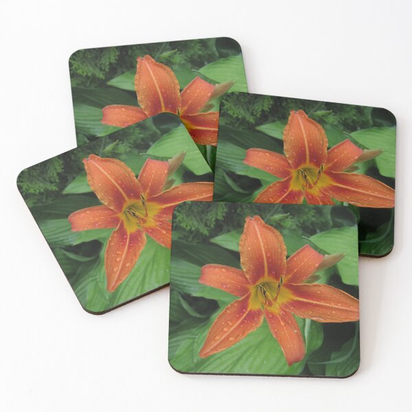 Item preview, Daylily designed and sold by cute-Maple-arts.