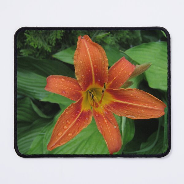 Item preview, Daylily designed and sold by cute-Maple-arts.