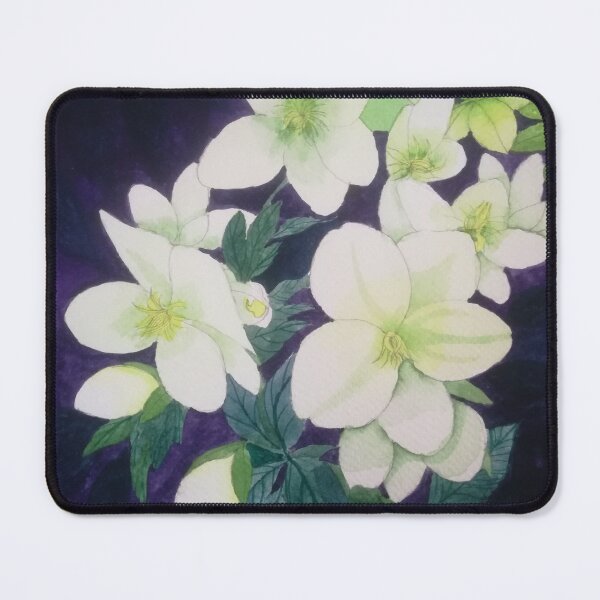 Item preview, White hellebores watercolour painting with a dark background. designed and sold by esvb.