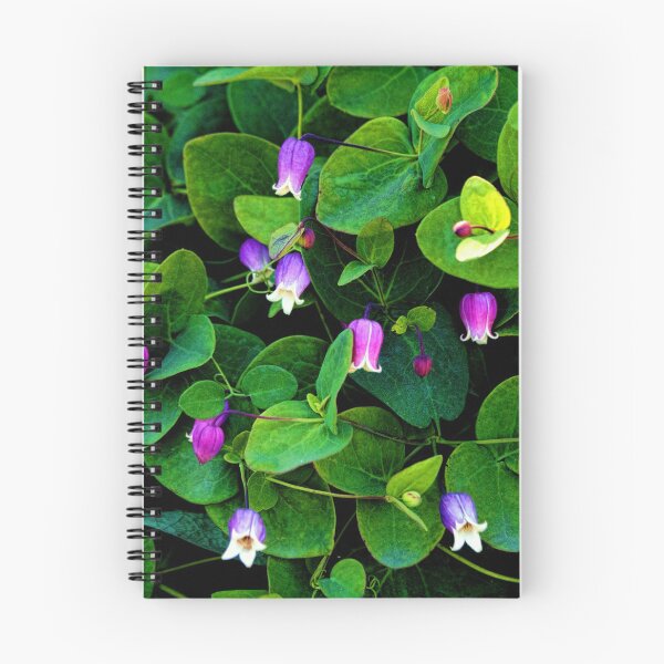Item preview, Clematis - Addison's Leather Flower designed and sold by T.J. Martin.