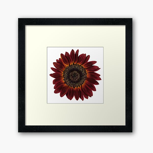Item preview, Tournesol rouge designed and sold by NicoleDowning.