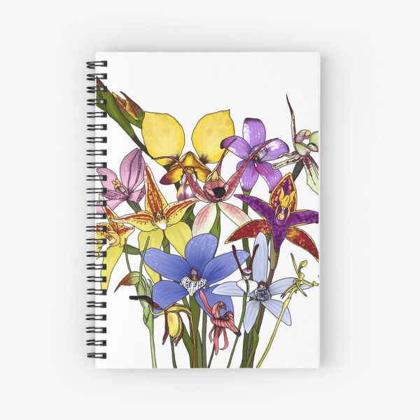 Item preview, The Native Orchids of Western Australia designed and sold by JoWillmot.