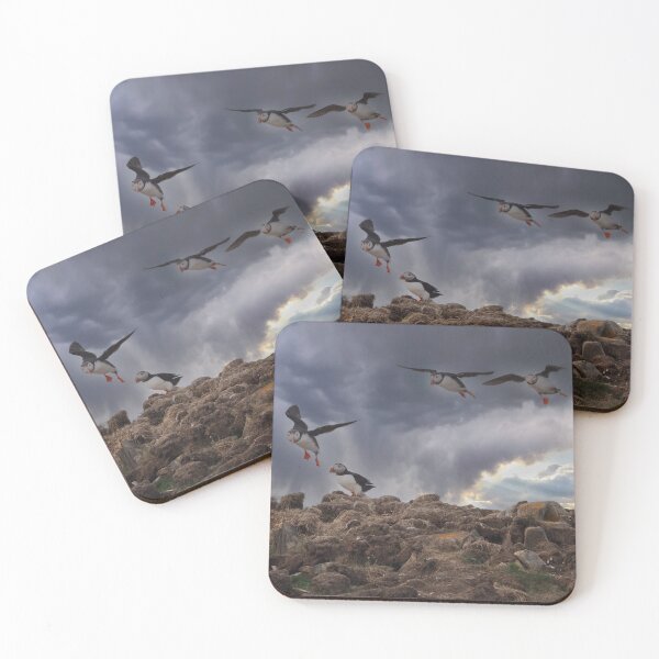 Item preview, Atlantic Puffins designed and sold by Alla Gill.