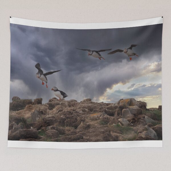 Item preview, Atlantic Puffins designed and sold by Alla Gill.