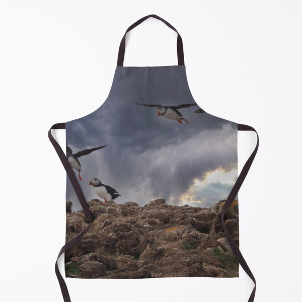 Item preview, Atlantic Puffins designed and sold by Alla Gill.