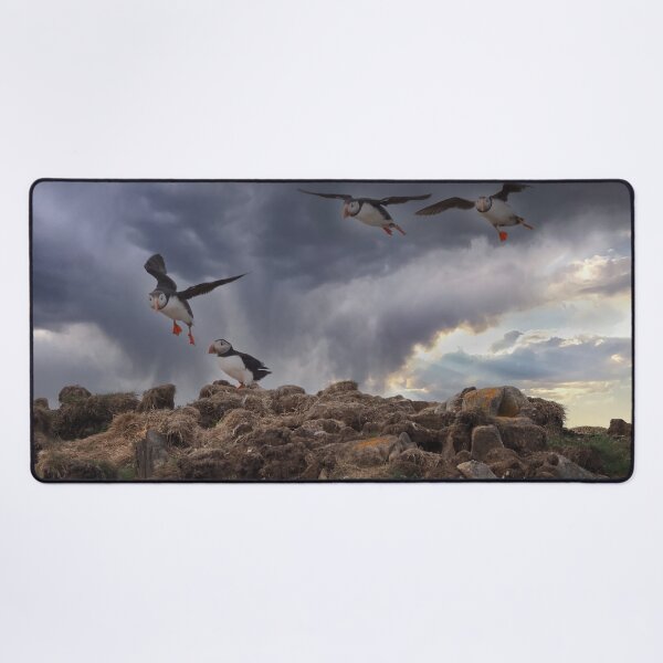 Item preview, Atlantic Puffins designed and sold by Alla Gill.
