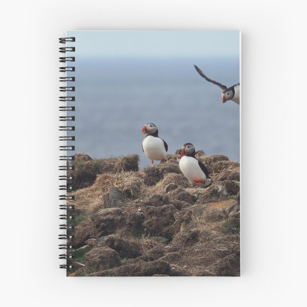 Item preview, Atlantic Puffins-2 designed and sold by Alla Gill.