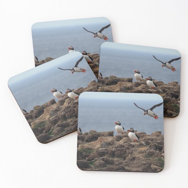 Item preview, Atlantic Puffins-2 designed and sold by Alla Gill.