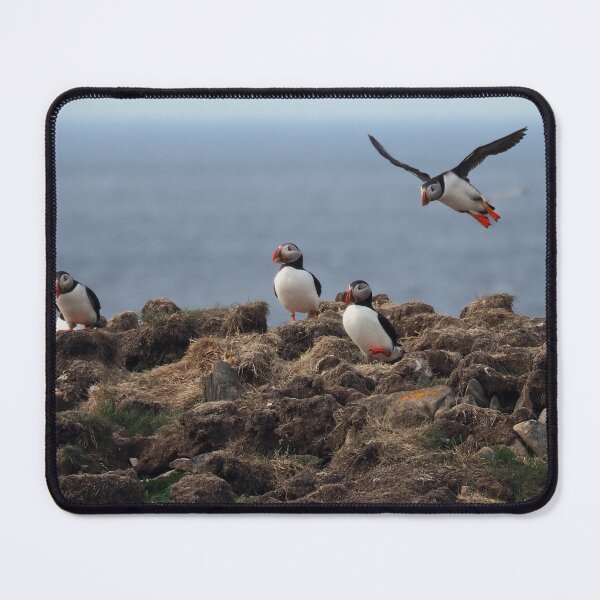 Item preview, Atlantic Puffins-2 designed and sold by Alla Gill.