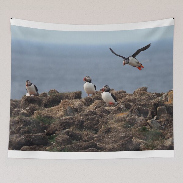 Item preview, Atlantic Puffins-2 designed and sold by Alla Gill.