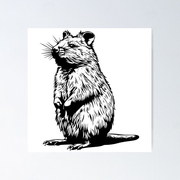 Item preview, Charming Quokka – Black and White Aussie Icon designed and sold by ExtinctAnimals.