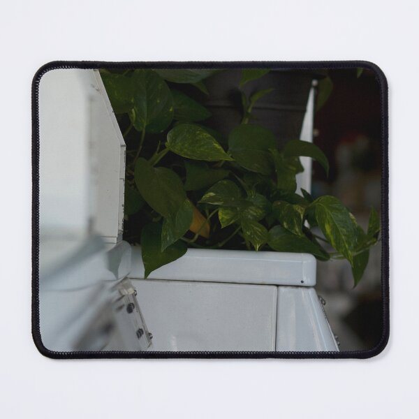 Item preview, Chinese Laundry designed and sold by tyfordwatson6.