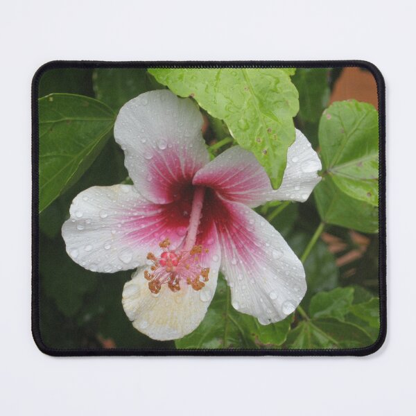 Item preview, Hibiscus designed and sold by Kymbo.