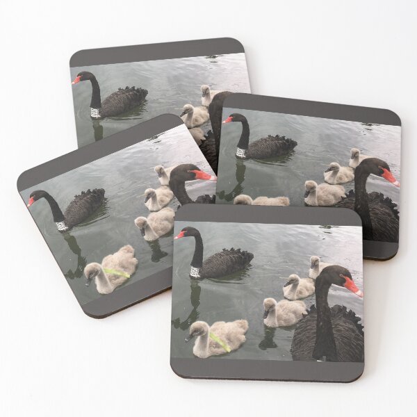 Item preview, Swan Family at Albert Park Lake designed and sold by Kymbo.