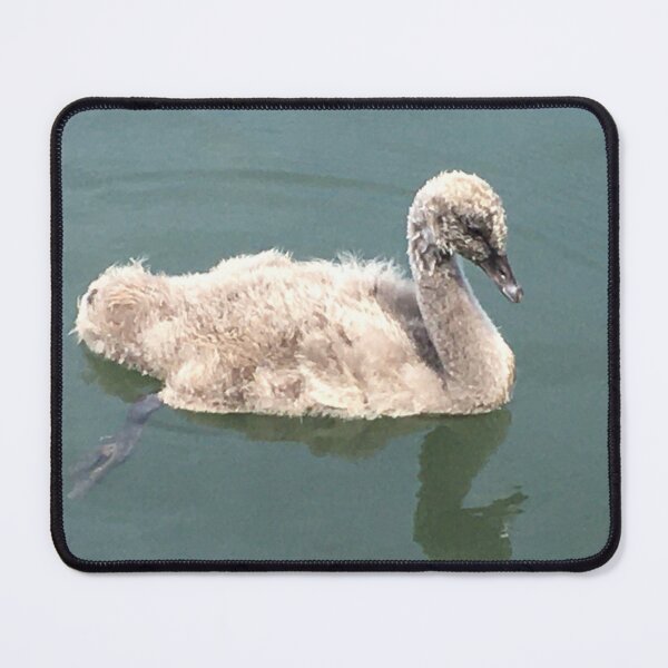 Item preview, Signet on Albert Park Lake designed and sold by Kymbo.