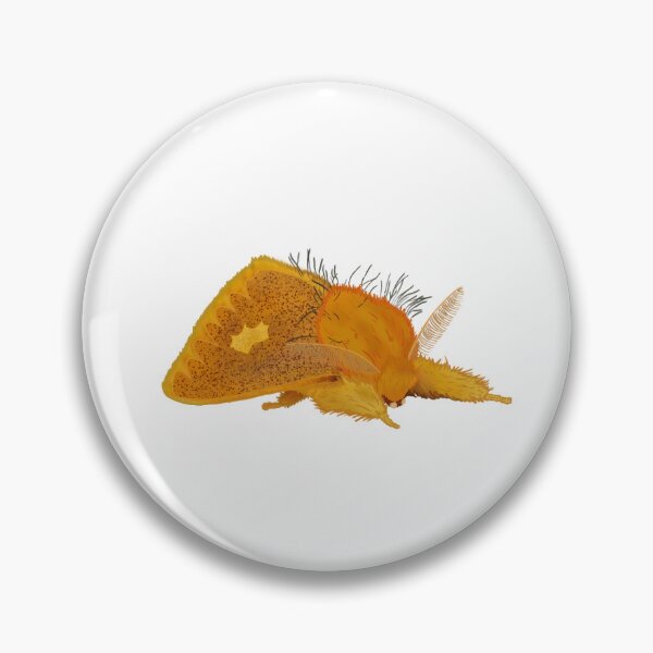 Item preview, Warm Butter Toast Moth Meme Tussock Moth (Euproctis plagiata) designed and sold by EnchantedMoths.