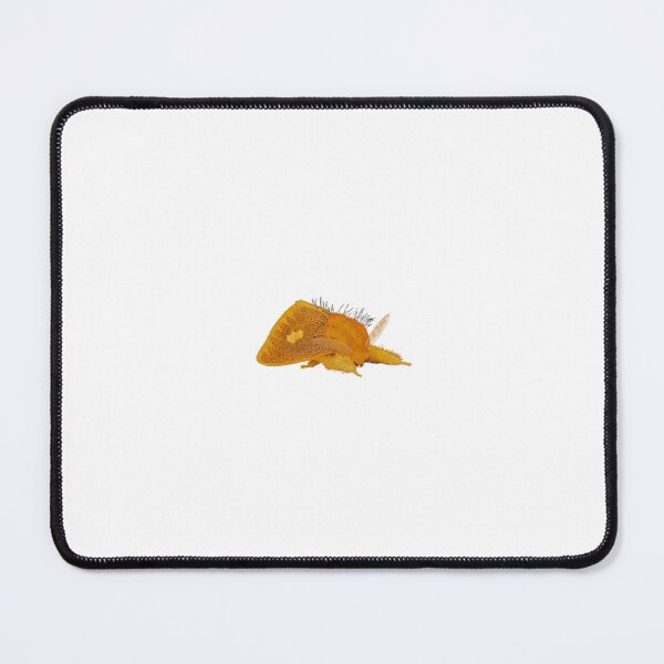 Item preview, Warm Butter Toast Moth Meme Tussock Moth (Euproctis plagiata) designed and sold by EnchantedMoths.