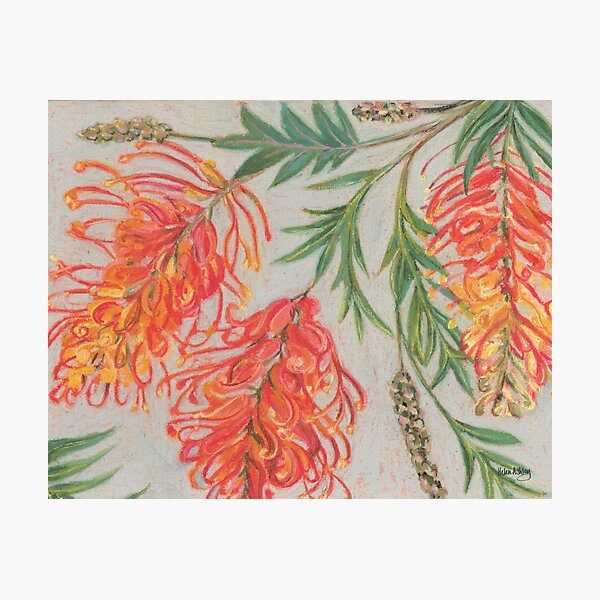 Item preview, Red Grevillea designed and sold by Helen Ashley.