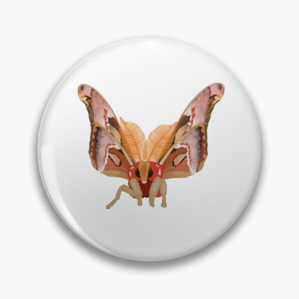Item preview, Large Fluffy Atlas Moth (Attacus atlas) Digital Drawing designed and sold by EnchantedMoths.