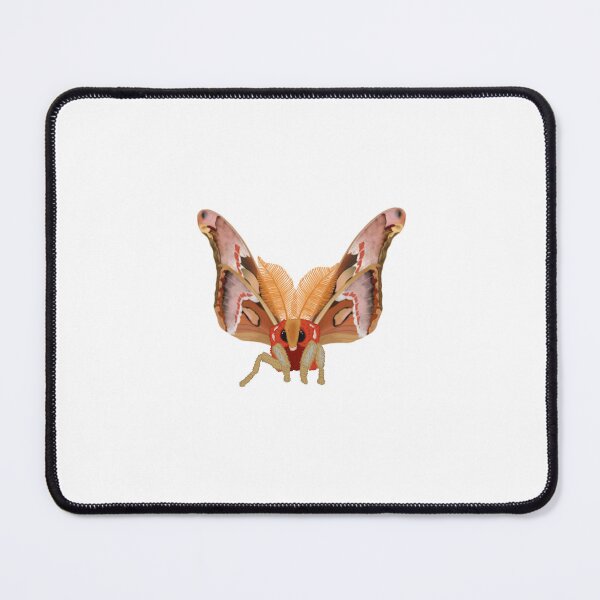 Aperçu de l'œuvre Dessin numérique du grand papillon de nuit de l'Atlas (Attacus atlas) créée et vendue par EnchantedMoths.