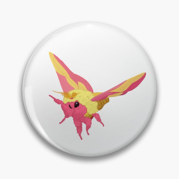 Item preview, Cute Fluffy Rosy Maple Moth (Dryocampa Rubicunda) Digital Drawing designed and sold by EnchantedMoths.