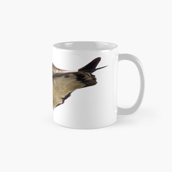 Item preview, Pacific Gull Wing designed and sold by ezcreate.media.
