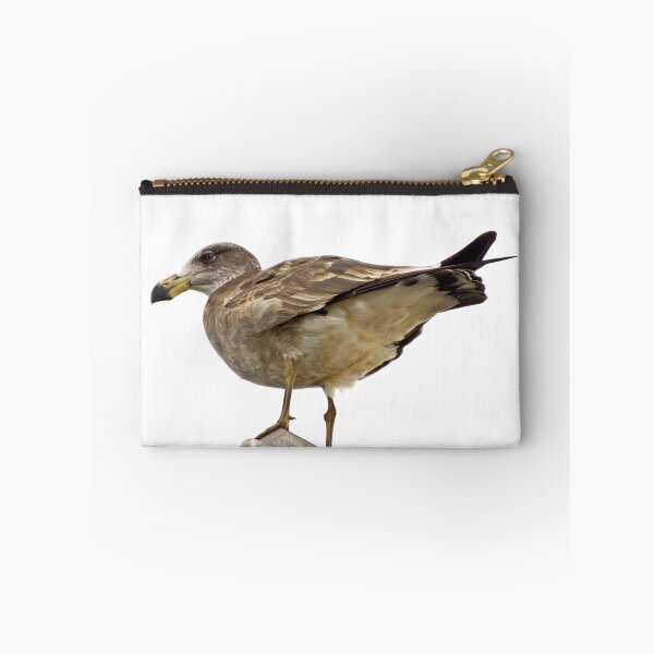 Item preview, Pacific Gull Wing designed and sold by ezcreate.media.