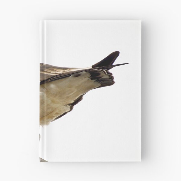 Item preview, Pacific Gull Wing designed and sold by ezcreate.media.