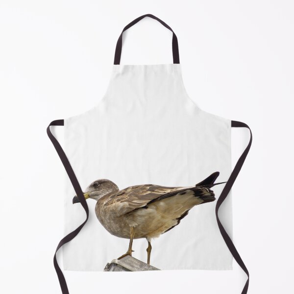 Item preview, Pacific Gull Wing designed and sold by ezcreate.media.