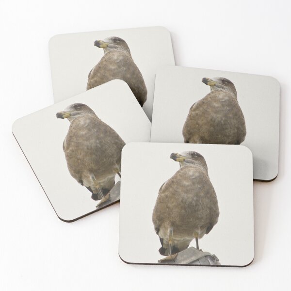 Item preview, Pacific Gull (Portrait) designed and sold by ezcreate.media.