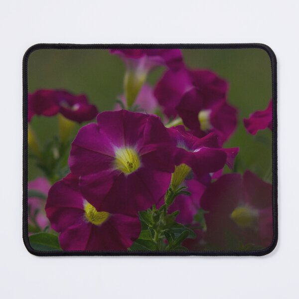 Item preview, Dark Magenta Blooms designed and sold by tyfordwatson6.
