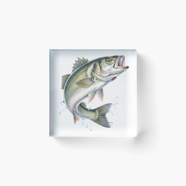 Item preview, spotted bass designed and sold by 4rtistcDrift.