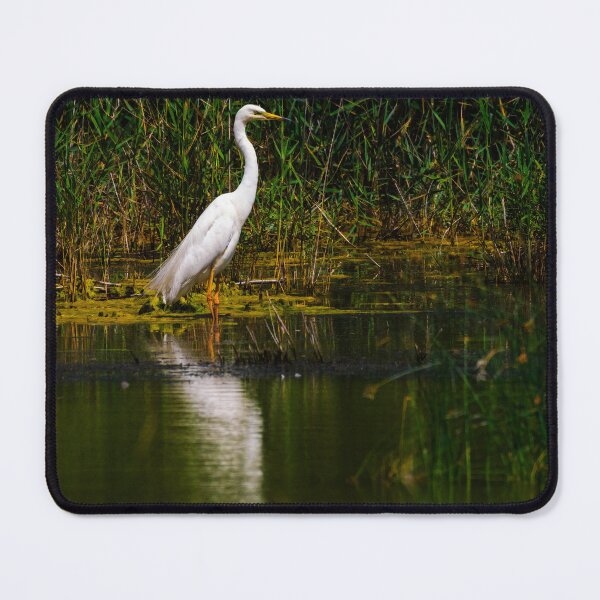 Item preview, Elegant Egret  designed and sold by Ralph Goldsmith.