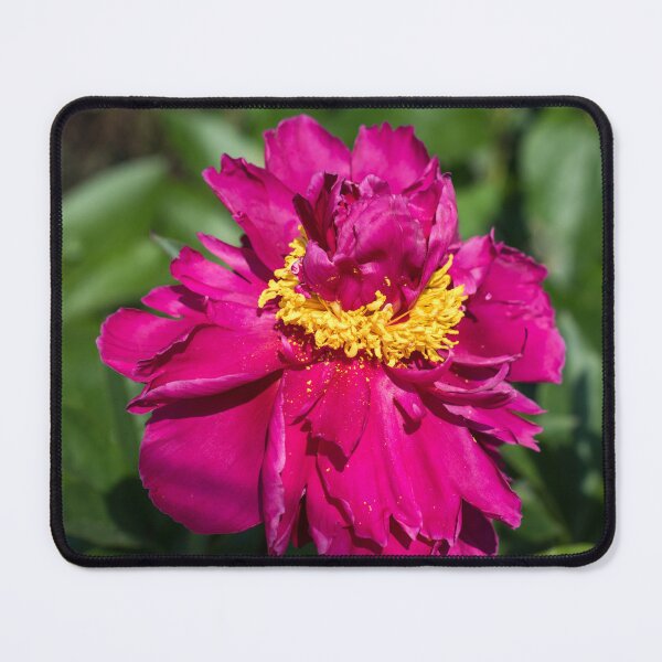 Item preview, Rich Carmine Peony Bloom with a Golden Crown designed and sold by Georgia Mizuleva.
