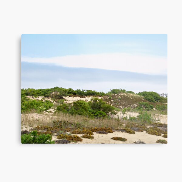 Item preview, Montauk Walking Dunes designed and sold by Dandelion Dilluvio.