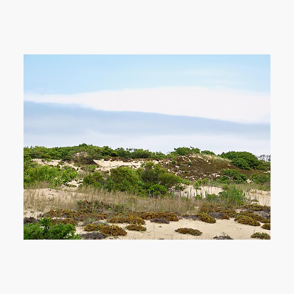 Item preview, Montauk Walking Dunes designed and sold by Dandelion Dilluvio.